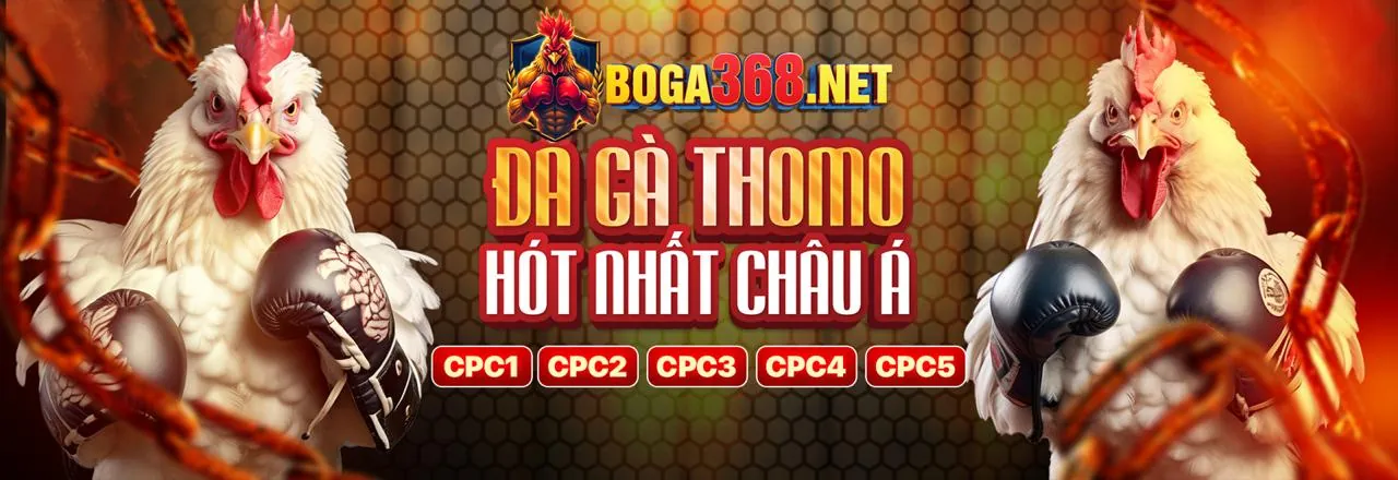 Tổng quan về GDPR và cam kết của ffok nổ hũ